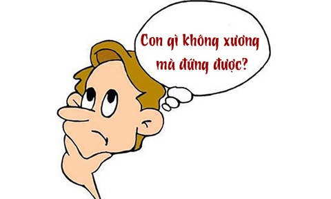 Câu đố hack não: Con gì không xương mà đứng được? - Ảnh 1. Câu đố hack não: Con gì không xương mà đứng được? - Ảnh 1.
