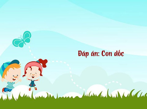 Câu đố hack não: Con gì không xương mà đứng được? - Ảnh 1.