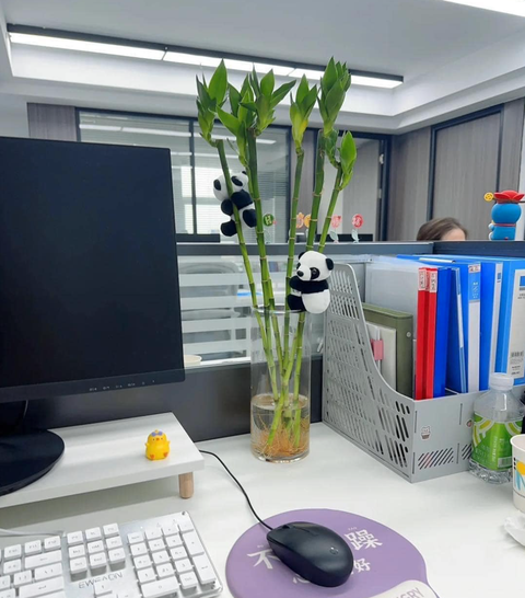Ảnh vui 11-11: Ba nhóc 'lọc nước hàng đầu Việt Nam'... đi lạc - Ảnh 3. Khi chị gái trong văn phòng tôi vừa chớm 30.