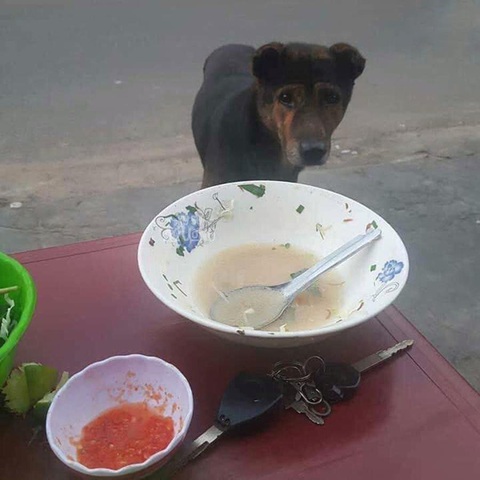 Ảnh vui 12-11: Ốp lưng điện thoại dành cho người có gia đình - Ảnh 3. Anh coi vậy mà được hả? Em chờ nãy giờ luôn á?!