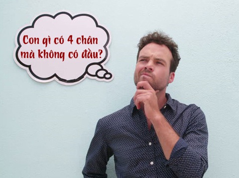 Câu đố hack não: Con gì có 4 chân mà không có đầu? - Ảnh 1. Câu đố hack não: Con gì có 4 chân mà không có đầu? - Ảnh 1.