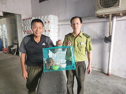 "Hiệp sĩ rừng xanh" Tăng A Pẩu: Thú rừng cũng có số phận - Ảnh 3. Ông Tăng A Pẩu bàn giao một con mèo rừng cho lực lượng kiểm lâm