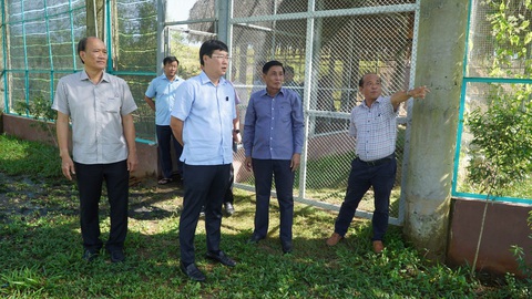 Hai cá thể sếu đầu tiên sẽ được đưa về Đồng Tháp đầu tháng 12 - Ảnh 1. Ông Lê Quốc Phong - bí thư Tỉnh ủy Đồng Tháp (thứ 2 từ trái) - khảo sát khu vực chuồng nuôi sếu đầu đỏ tại Vườn quốc gia Tràm Chim - Ảnh: TỐNG DOANH
