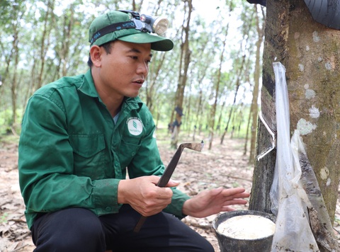 VRG và Quân khu 5 sơ kết 10 năm ký kết Quy chế phối hợp - Ảnh 3. Anh Trương Văn Tiến (34 tuổi) - công nhân Nông trường cao su Suối Đá (Công ty CP Cao su Sa Thầy, huyện Ia H'Đrai, Kon Tum) - Ảnh: TRUNG TÂN