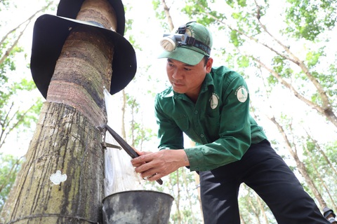 VRG và Quân khu 5 sơ kết 10 năm ký kết Quy chế phối hợp - Ảnh 1. Anh Trương Văn Tiến (34 tuổi) - công nhân Nông trường cao su Suối Đá (Công ty CP Cao su Sa Thầy, huyện Ia H'Đrai, Kon Tum) - Ảnh: TRUNG TÂN