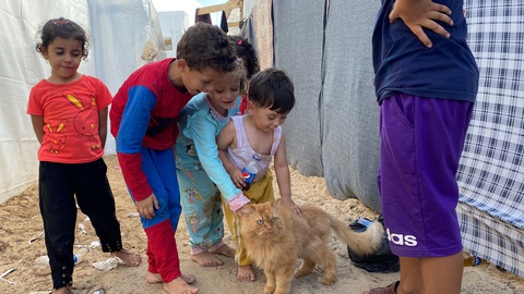 UNICEF: Các bên trong xung đột Israel - Hamas vi phạm nghiêm trọng quyền trẻ em - Ảnh 2. Con mèo đem lại niềm vui cho những đứa trẻ Palestine phải di tản và sống ở lều tị nạn tại Khan Younis, Gaza - Ảnh: REUTERS