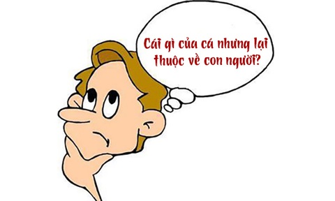 Câu đố hack não: Cái gì của cá nhưng lại thuộc về con người? - Ảnh 1. Câu đố hack não: Cái gì của cá nhưng lại thuộc về con người? - Ảnh 1.