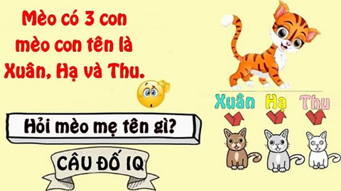 Câu đố hack não: Cái gì của cá nhưng lại thuộc về con người? - Ảnh 7. Câu đố hack não: Cái gì của cá nhưng lại thuộc về con người? - Ảnh 7.