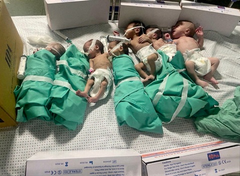 Ngày 11-11, Bệnh viện Al Shifa tuyên bố ngừng hoạt động do cạn kiệt nhiên liệu chạy máy phát điện. Điều này đe dọa trực tiếp đến tính mạng hàng chục trẻ sơ sinh ở đây khi không còn được chăm sóc trong lồng ấp - Ảnh: REUTERS Ngày 11-11, Bệnh viện Al Shifa tuyên bố ngừng hoạt động do cạn kiệt nhiên liệu chạy máy phát điện. Điều này đe dọa trực tiếp đến tính mạng hàng chục trẻ sơ sinh ở đây khi không còn được chăm sóc trong các lồng ấp - Ảnh: REUTERS