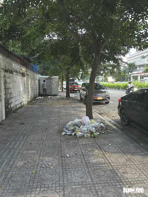Dẹp nạn xả rác: Cần các biện pháp đồng bộ - Ảnh 1. Các gốc cây trở thành nơi bỏ rác, bờ tường thành nơi tiểu tiện - Ảnh: MỸ LÝ