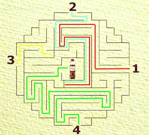 Câu đố hack não: Con gì chết rồi vẫn còn cục cựa? - Ảnh 1.