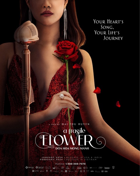 Sau Kiều, đạo diễn Mai Thu Huyền ra mắt phim điện ảnh thứ 2 ở Mỹ - Ảnh 1. Poster phim điện ảnh ca nhạc Đóa hoa mong manh của Mai Thu Huyền ra mắt tại Mỹ