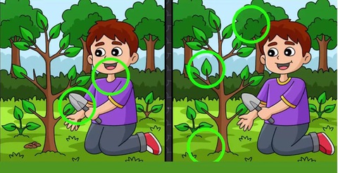 Thử tài tinh mắt: Con mèo đang ẩn nấp ở đâu? - Ảnh 1.