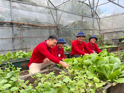 PVCFC lần thứ 2 nhận tuyên dương doanh nghiệp vì cộng đồng - Ảnh 3. Phân bón Cà Mau tặng vườn ươm vì màu xanh Trường Sa