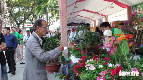Mô hình hội quán gắn kết cộng đồng, thay đổi diện mạo nông thôn - Ảnh 3. Ngày hội là dịp để các hội quán trưng bày, giới thiệu sản phẩm đặc trưng của địa phương - Ảnh: ĐẶNG TUYẾT