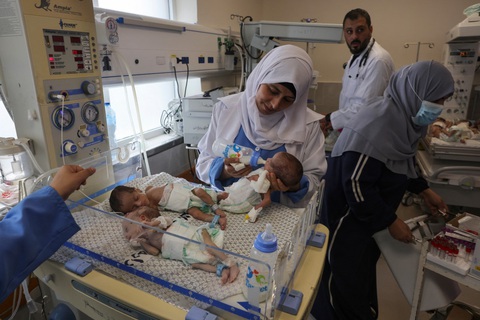 Các bác sĩ chăm sóc trẻ sinh non được sơ tán từ bệnh viện Al Shifa đến bệnh viện Emirates ở Rafah, phía nam Dải Gaza ngày 19-11 - Ảnh: AFP Các bác sĩ chăm sóc trẻ sinh non được sơ tán từ Bệnh viện Al Shifa đến Bệnh viện Emirates ở Rafah, phía nam Dải Gaza ngày 19-11 - Ảnh: AFP
