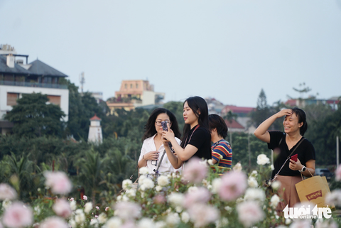 Du khách check-in tại khu vườn hoa hồng - Ảnh: NGUYỄN HIỀN Du khách check-in tại khu vườn hoa hồng - Ảnh: NGUYỄN HIỀN