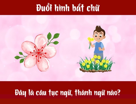 IQ cao có đoán được đây là câu tục ngữ, thành ngữ gì? (P3) - Ảnh 1. IQ cao có đoán được đây là câu tục ngữ, thành ngữ gì? (P3) - Ảnh 1.