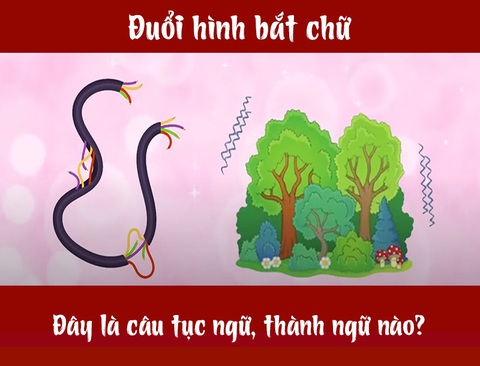IQ cao có đoán được đây là câu tục ngữ, thành ngữ gì? (P3) - Ảnh 4. IQ cao có đoán được đây là câu tục ngữ, thành ngữ gì? (P3) - Ảnh 4.