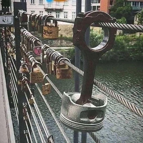 Ảnh vui 2-11: Con ngan xấu số vô cùng tội nghiệp - Ảnh 5. Tình yêu vĩnh cửu.