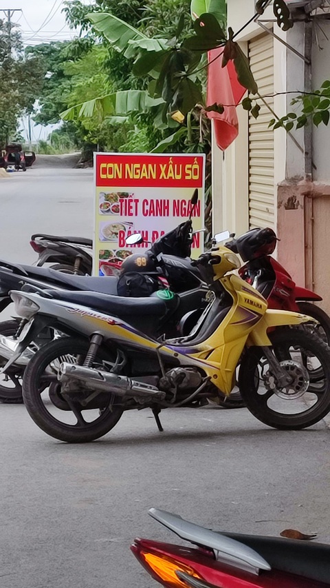 Ảnh vui 2-11: Con ngan xấu số vô cùng tội nghiệp - Ảnh 1. Có con ngan là "mát" bao tử.