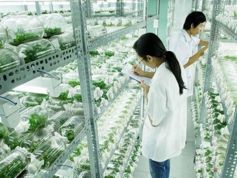 Kỹ sư nông nghiệp là ai? Hiểu đúng về nghề kỹ sư nông nghiệp - Ảnh 3. Kỹ sư ngành nông nghiệp có thể làm việc ở lĩnh vực nào? - Ảnh: Internet