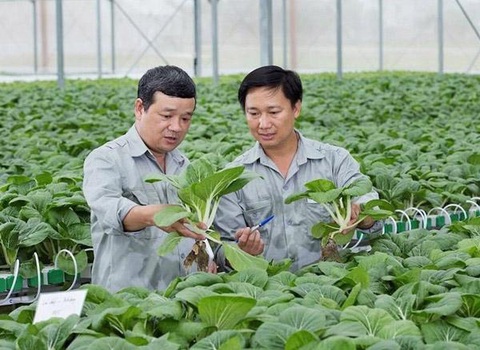 Kỹ sư nông nghiệp là ai? Hiểu đúng về nghề kỹ sư nông nghiệp - Ảnh 4. Công việc của kỹ sư nông nghiệp là gì? - Ảnh: Internet