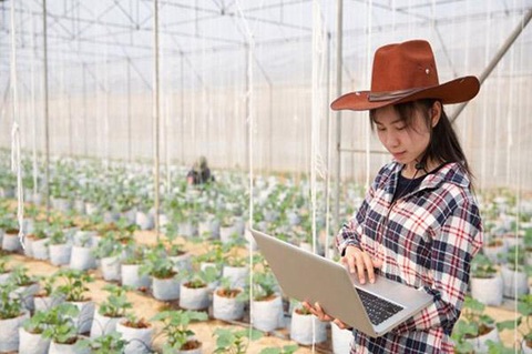 Kỹ sư nông nghiệp là ai? Hiểu đúng về nghề kỹ sư nông nghiệp - Ảnh 5. Các tiêu chí tuyển dụng kỹ sư nông nghiệp hiện nay - Ảnh: Internet