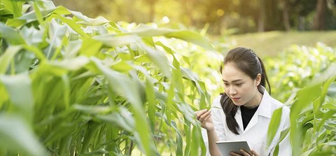 Kỹ sư nông nghiệp là ai? Hiểu đúng về nghề kỹ sư nông nghiệp - Ảnh 6. Cơ hội việc làm dành cho các kỹ sư ngành nông nghiệp - Ảnh: Internet
