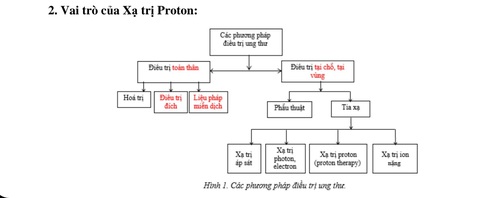 Vì sao Việt Nam phải cần đầu tư hệ thống xạ trị proton điều trị ung thư? - Ảnh 3. Vai trò của xạ trị proton - đồ họa do ông Nguyễn Tri Thức cung cấp