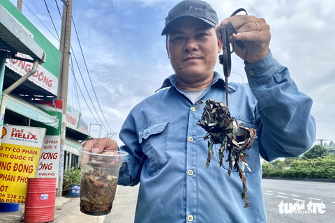 Người dân lọ mọ đi hút đinh giữa trưa trên quốc lộ 1 - Ảnh 1. Trong khoảng một giờ, người dân đã cầm trên tay lượng đinh nặng đến 2kg - Ảnh: TIẾN QUỐC