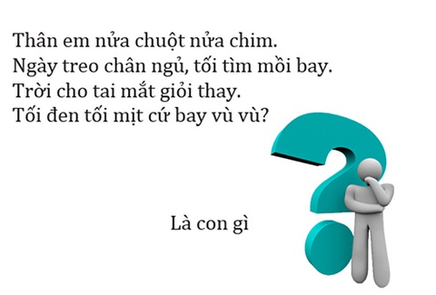Câu đố hack não: Cái gì hai đầu mà không có đuôi? - Ảnh 4. Câu đố hack não: Cái gì hai đầu mà không có đuôi? - Ảnh 4.