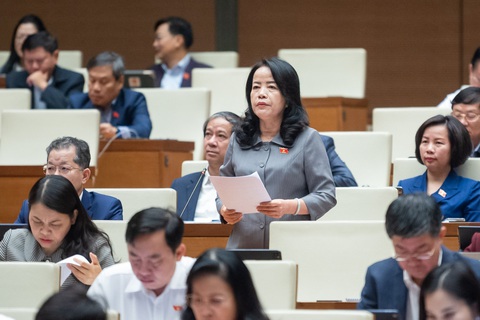 Đại biểu Nguyễn Thị Kim Thúy - Ảnh: GIA HÂN Đại biểu Nguyễn Thị Kim Thúy - Ảnh: GIA HÂN