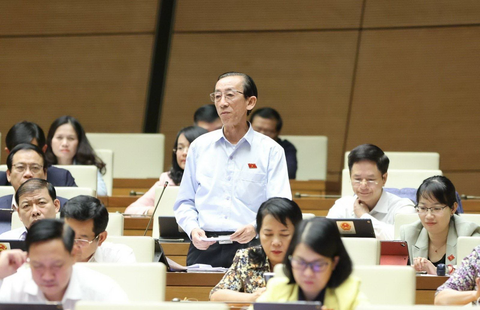 PGS.TS Trần Hoàng Ngân - Ảnh: T.L. PGS.TS Trần Hoàng Ngân - Ảnh: T.L.