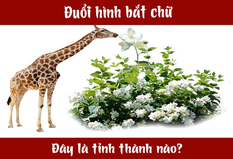 IQ cao có đoán được đây là tỉnh thành nào nước ta? (P30) - Ảnh 1. IQ cao có đoán được đây là tỉnh thành nào nước ta? (P30) - Ảnh 1.