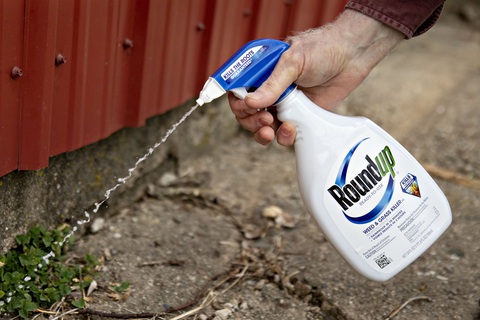 Bayer đối mặt án phạt hơn 1,5 tỉ đô vì thuốc diệt cỏ của Monsanto - Ảnh 1. Thuốc diệt cỏ Roundup của Monsanto - Ảnh: REUTERS