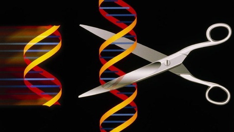 Liệu pháp gene điều trị bệnh thiếu máu do di truyền - Ảnh 1. Liệu pháp gene điều trị bệnh thiếu máu do di truyền - Ảnh 1.