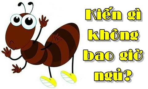 Câu đố hack não: Cái gì càng tối càng sáng? - Ảnh 4. Câu đố hack não: Cái gì càng tối càng sáng? - Ảnh 4.