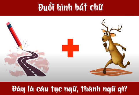IQ cao có đoán được đây là câu tục ngữ, thành ngữ gì? (P4) - Ảnh 4. IQ cao có đoán được đây là câu tục ngữ, thành ngữ gì? (P4) - Ảnh 4.