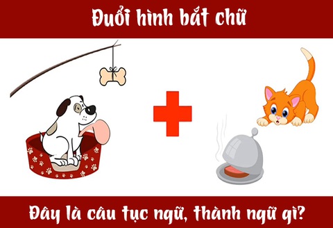 IQ cao có đoán được đây là câu tục ngữ, thành ngữ gì? (P4) - Ảnh 7. IQ cao có đoán được đây là câu tục ngữ, thành ngữ gì? (P4) - Ảnh 7.