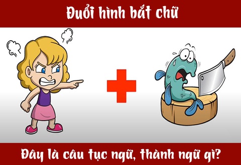 IQ cao có đoán được đây là câu tục ngữ, thành ngữ gì? (P5) - Ảnh 7. IQ cao có đoán được đây là câu tục ngữ, thành ngữ gì? (P5) - Ảnh 7.