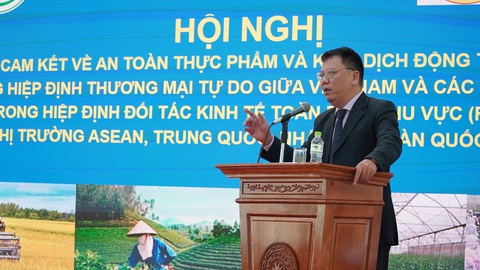 Sầu riêng sẽ vượt thanh long thành trái cây hàng đầu của Việt Nam tại Trung Quốc- Ảnh 1. Theo ông Ngô Xuân Nam, mỗi tháng có trên 100 thông báo về thay đổi các biện pháp SPS - Ảnh: MINH TIẾN
