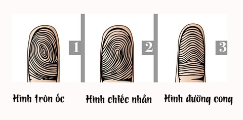 Hình dạng dấu vân tay nói gì về tính cách của bạn?- Ảnh 1. Hình dạng dấu vân tay nói gì về tính cách của bạn?- Ảnh 1.
