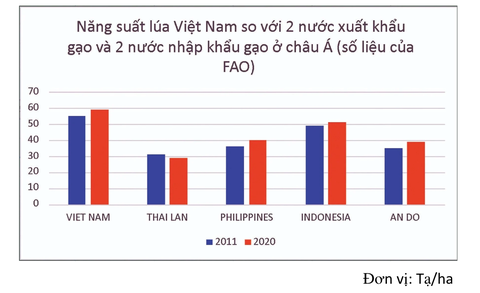Việt Nam có lợi thế trồng lúa vượt trội, nông dân sẽ thịnh vượng nếu làm theo cách này- Ảnh 2. Năng suất lúa của Việt Nam vượt trội so với các nước trong khu vực châu Á