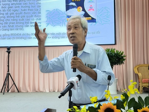 Nên trồng mỗi vùng một giống lúa để giữ chất lượng gạo đồng đều- Ảnh 1. PGS.TS Võ Công Thành góp ý để nâng chất lượng gạo Việt Nam - Ảnh: CHÍ QUỐC