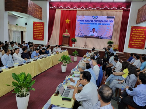 Lúa gạo tăng giá, tổ chức hội thảo tìm giải pháp để nông dân hưởng lợi lâu dài- Ảnh 1. Bộ trưởng NN-PTNT Lê Minh Hoan phát biểu trực tuyến từ điểm cầu Bộ Nông nghiệp và Phát triển nông thôn - Ảnh: CHÍ QUỐC