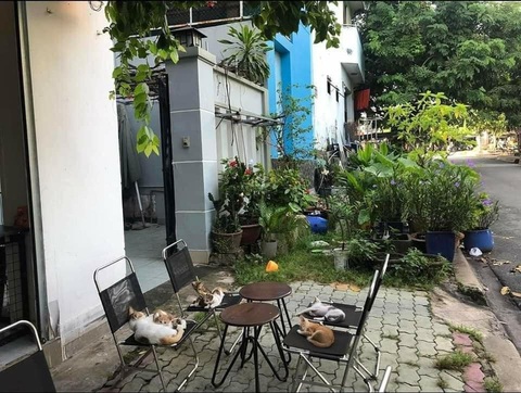 Ảnh vui 25-11: Quán bún thịt nướng 'nôn' ăn Tết sớm- Ảnh 2. Dàn nhân viên "tay vịn" đang chờ khách.