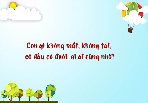 Con gì không mắt, không tai, có đầu có đuôi, ai ai cũng nhờ?- Ảnh 1.