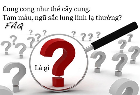 Câu đố hack não: Xe nào di chuyển được mà không có bánh?- Ảnh 3. Câu đố hack não: Xe nào di chuyển được mà không có bánh?- Ảnh 3.