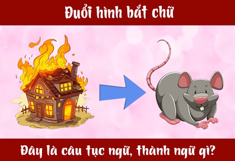 IQ cao có đoán được đây là câu tục ngữ, thành ngữ gì? (P7)- Ảnh 3. IQ cao có đoán được đây là câu tục ngữ, thành ngữ gì? (P7)- Ảnh 3.